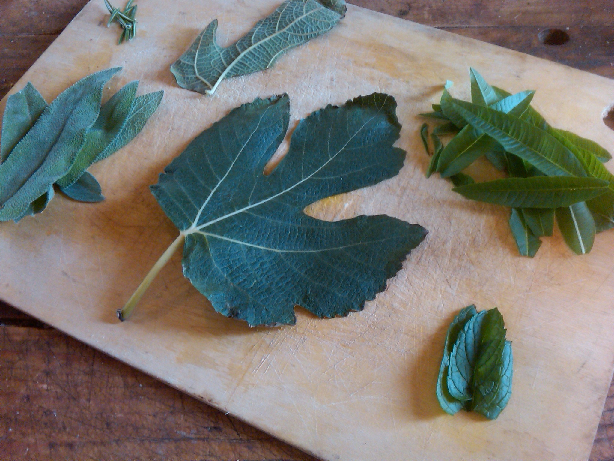 Cutting Board Herbs 2.jpg