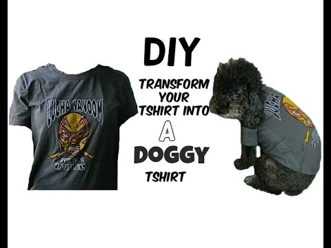 DIY| Transform your Tshirt into a Doggy Tshirt