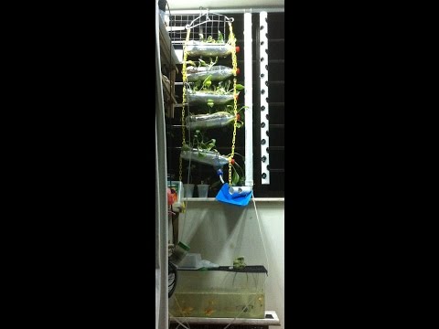 DIY Aeroponic + Aquaponic + Air-Lift Pump Vertical Farming System