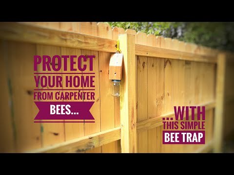 DIY Carpenter Bee Trap