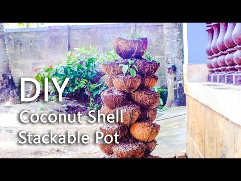 DIY Coconut Shell Stackable Pot