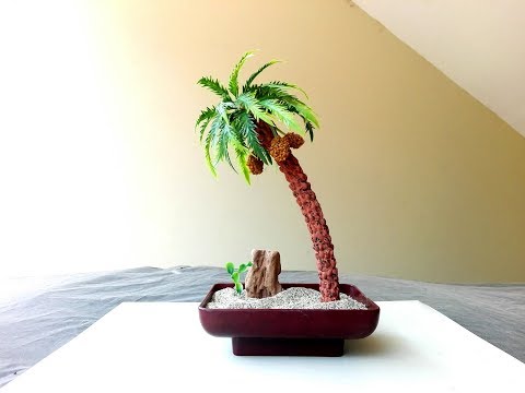 DIY Date Palm Tree.Mini Date tree