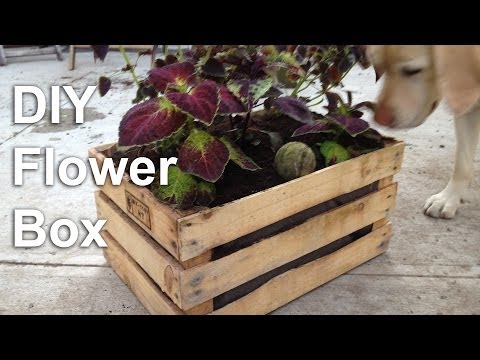 DIY Flower Box Garden Planter - GardenFork.TV