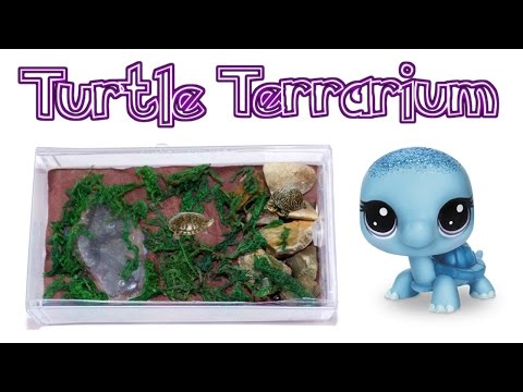 DIY Miniature Turtle Terrarium