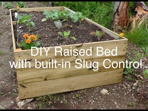 DIY Raised bed garden with built-in slug control