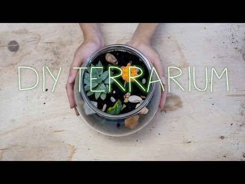 DIY Terrarium - Spring Room Decor