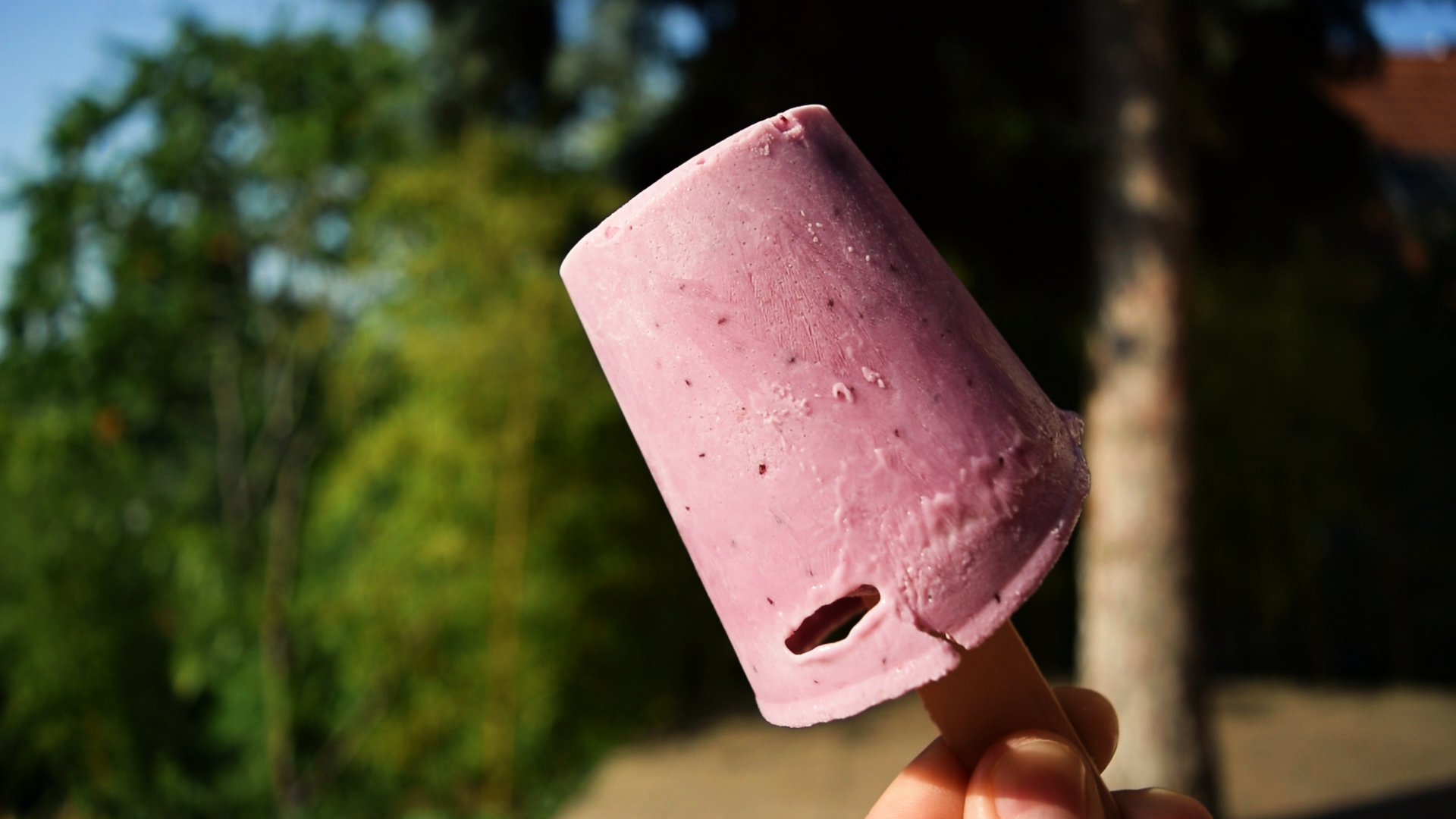 DIY Yogurt Popsicles_freeze.bmp