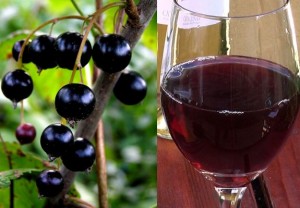 DIY blackcurrant wine.jpg