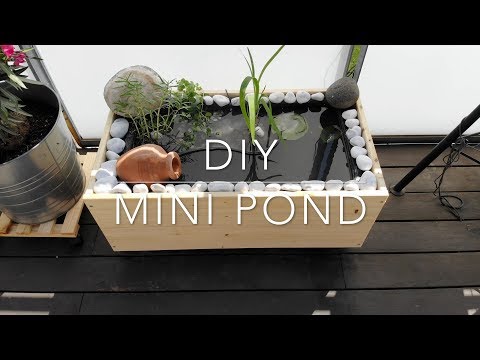 DIY mini pond