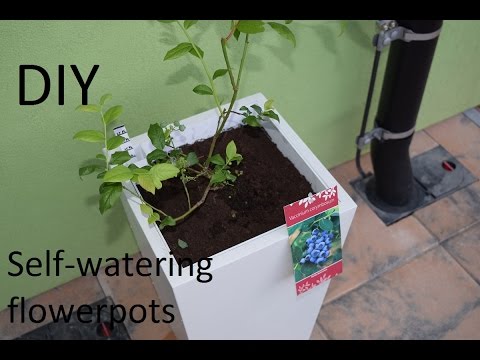 DIY self-watering flower pots