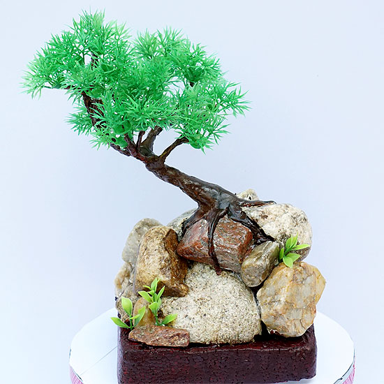 DIY-Bonsai-Tree.jpg