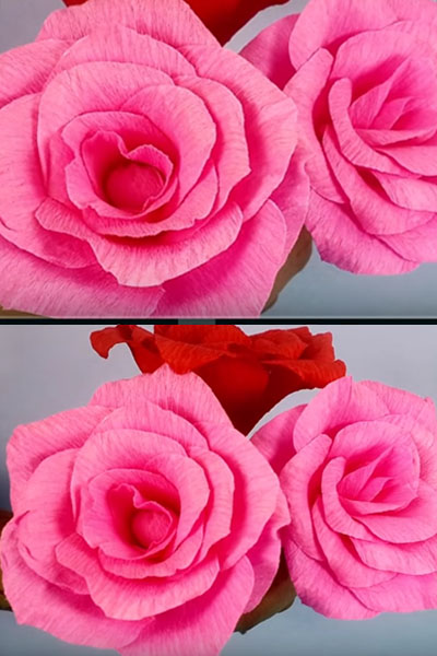 DIY-Handmade-Roses-stylenich.jpg