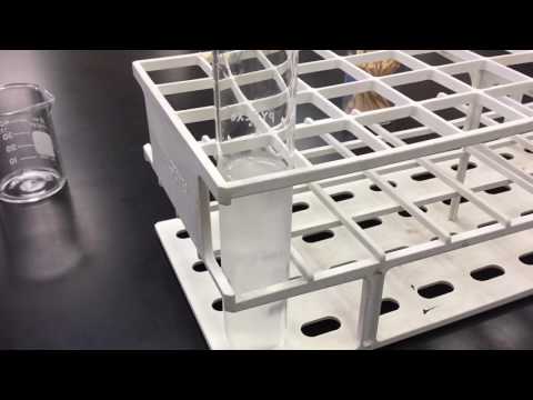 DNA Growing Timelapse