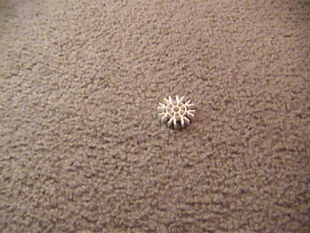 DSC00017.JPG