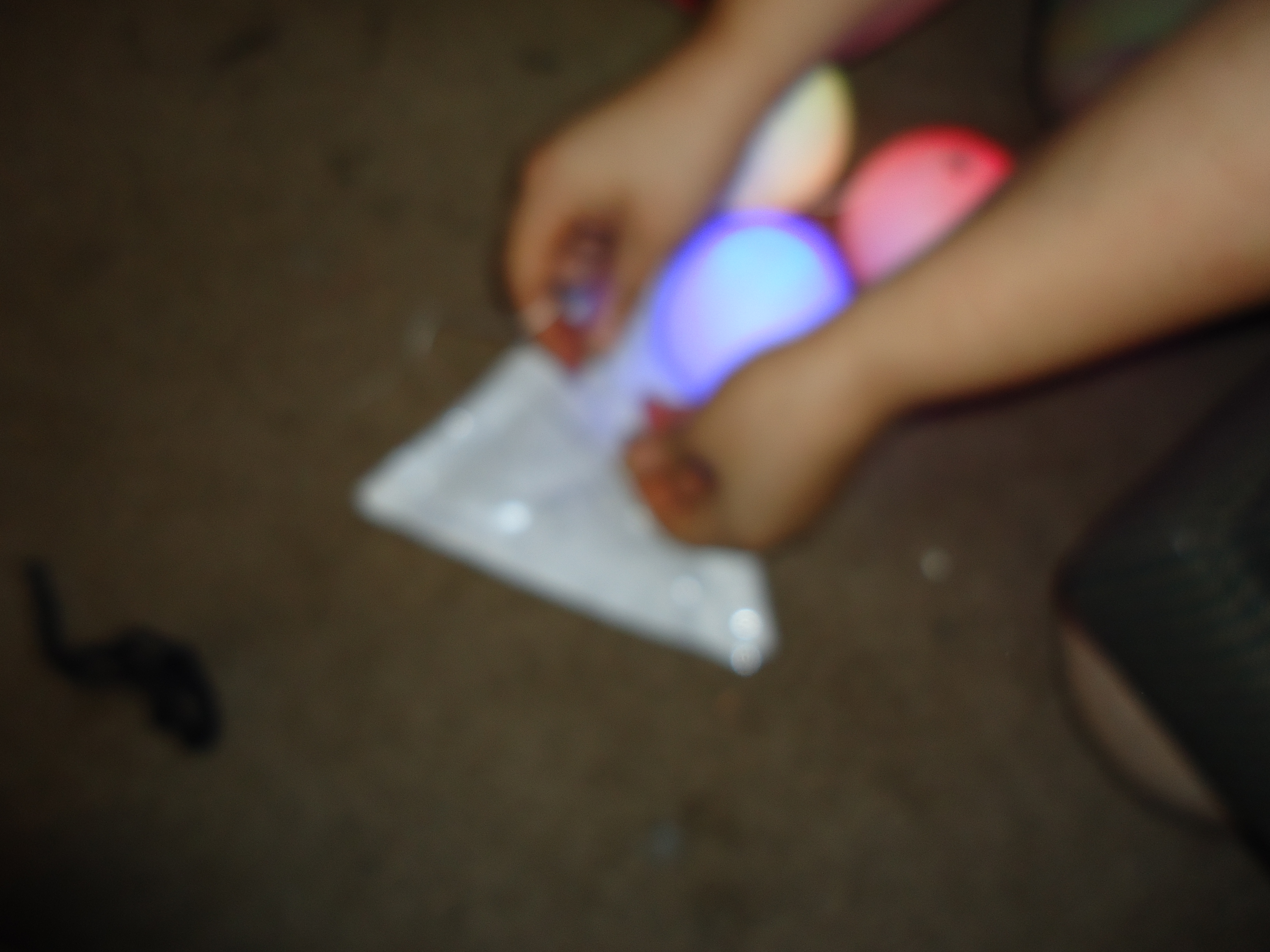 DSC00072.JPG