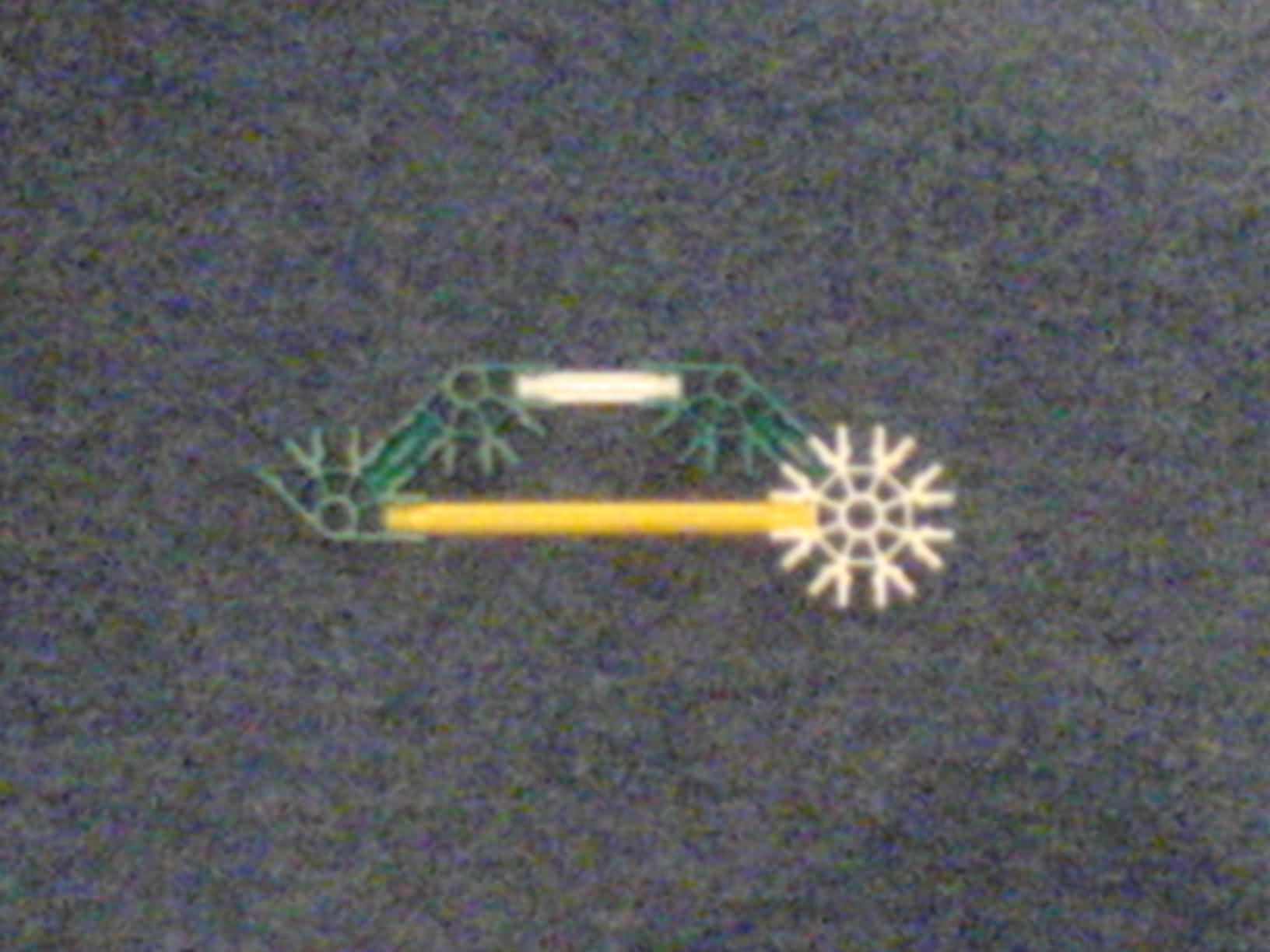 DSC00168.JPG