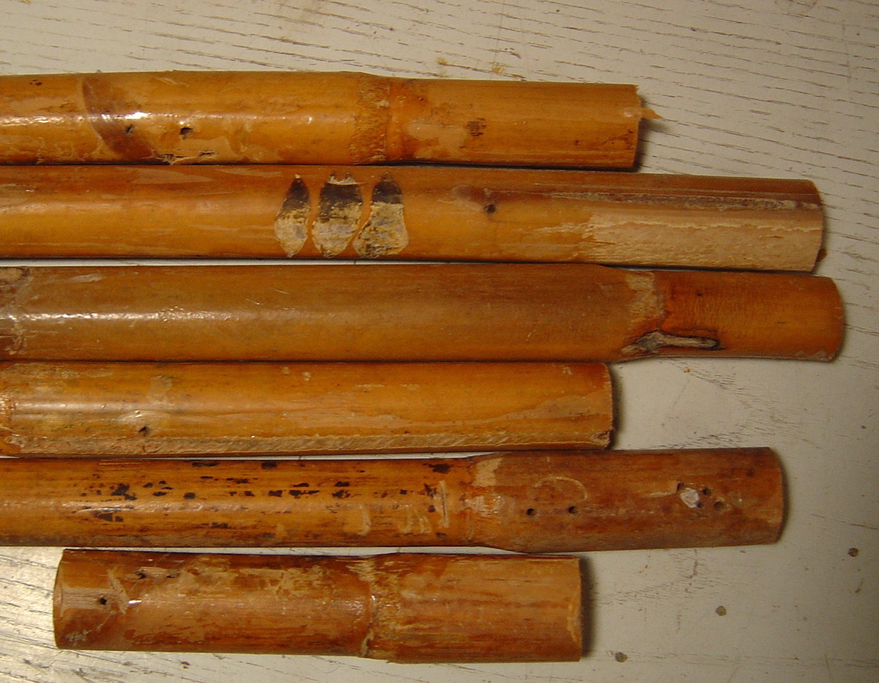 DSC00307 bamboo parts.JPG