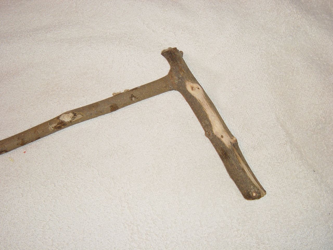 DSC00704.jpg