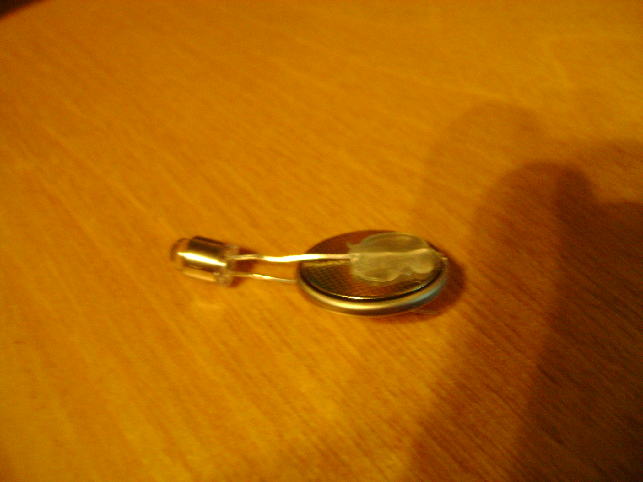 DSC00881.JPG