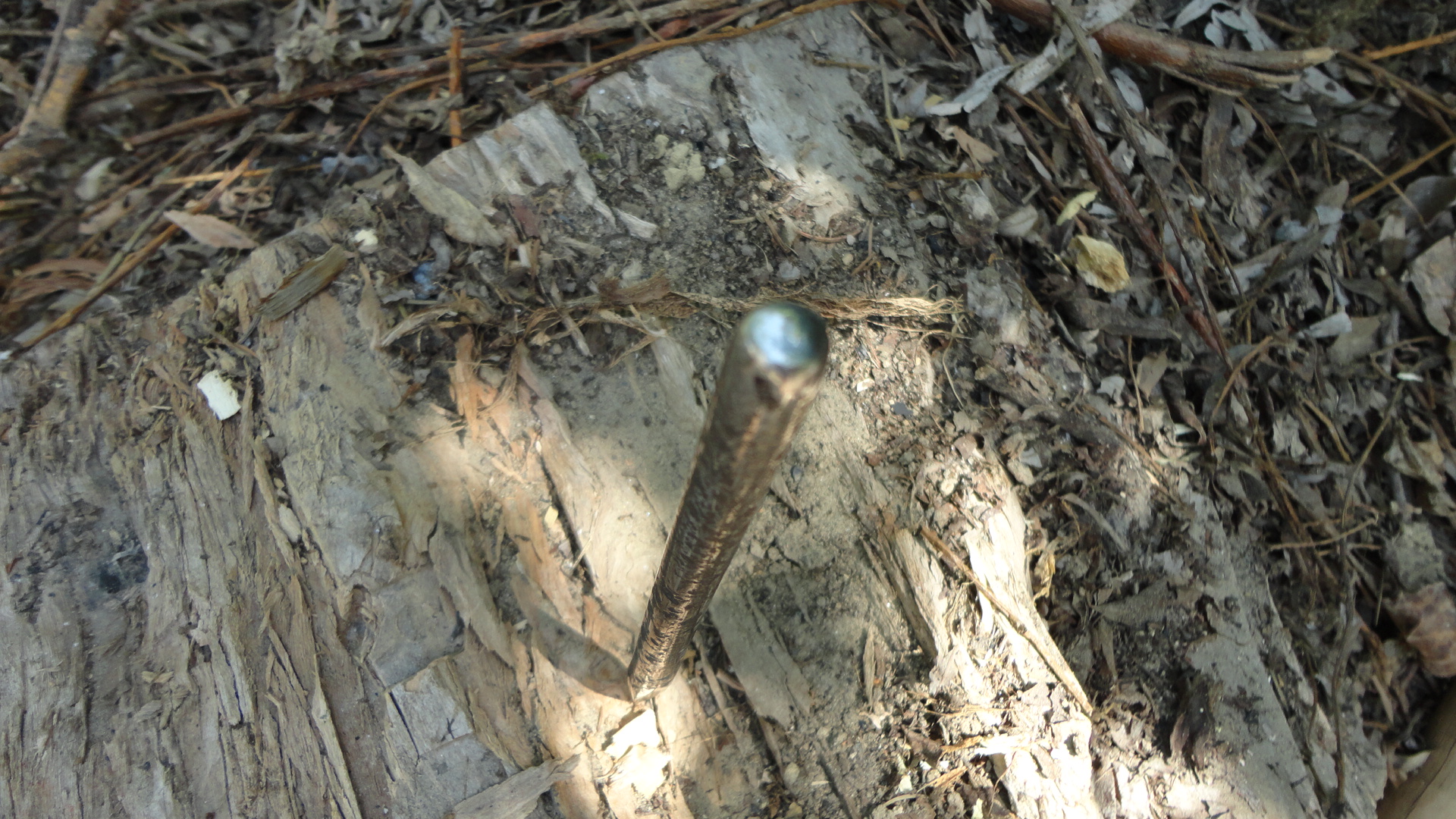 DSC01022.JPG