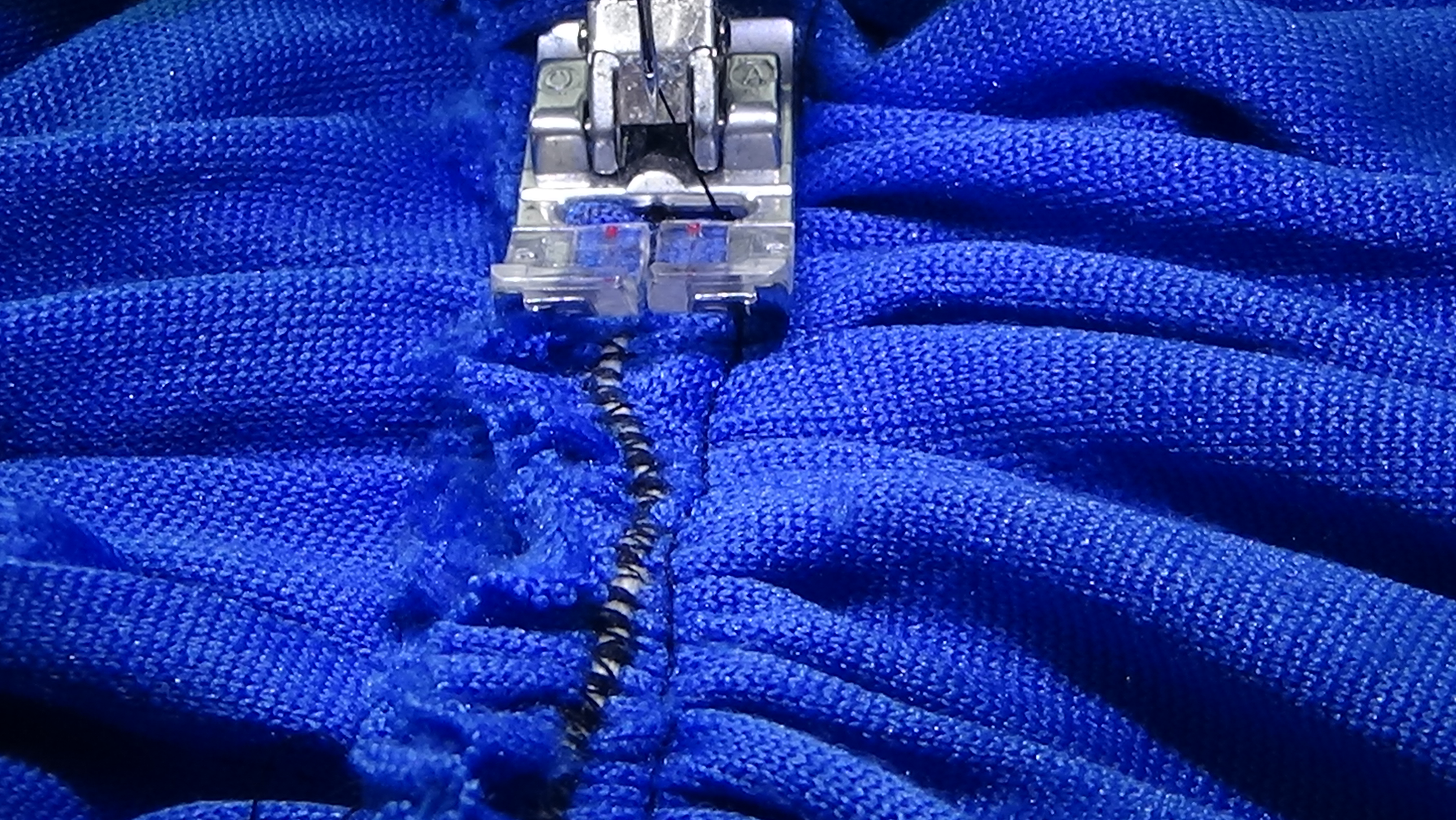 DSC01436.JPG
