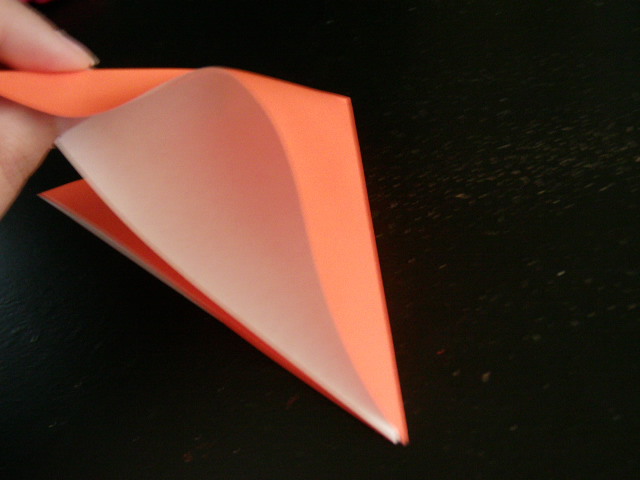 DSC01511.JPG