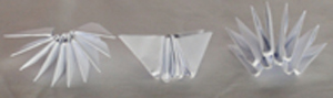DSC02329.JPG