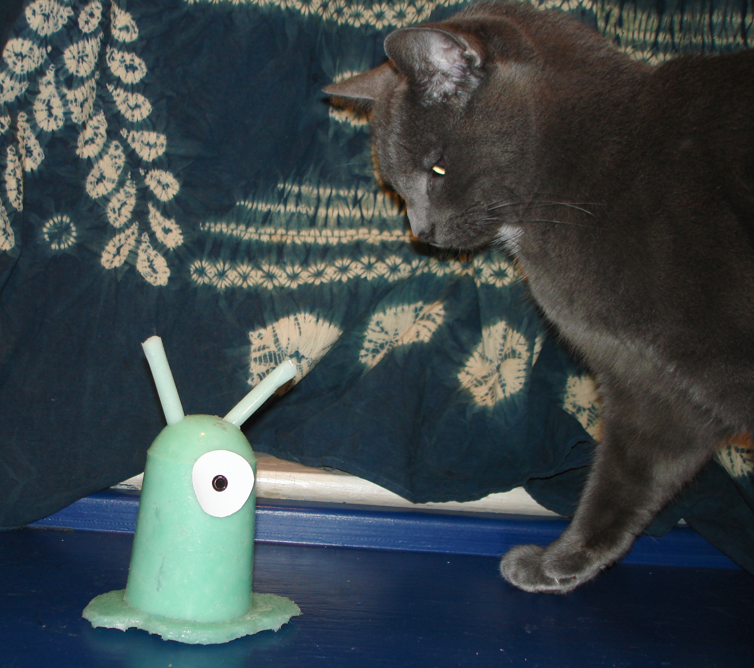 DSC02559 brainslug cat hate.jpg