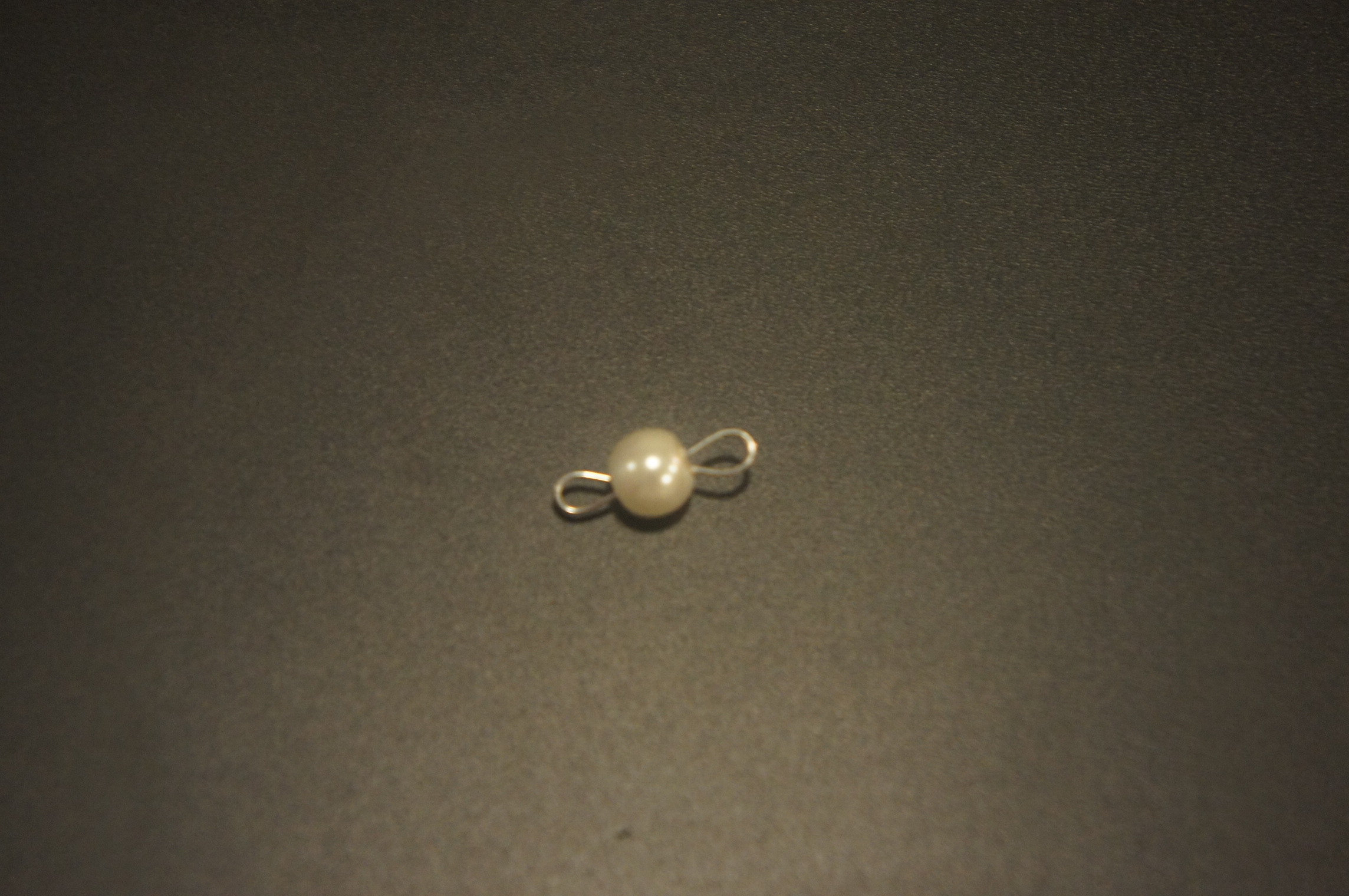 DSC02627.JPG