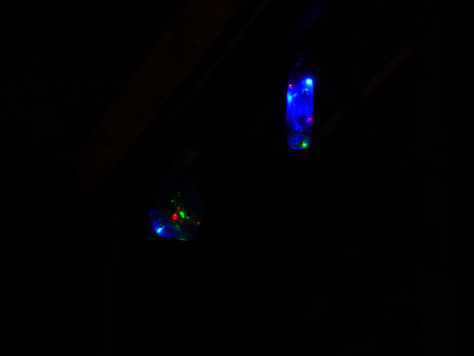 DSC03497.JPG