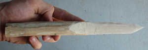 DSC03600.JPG
