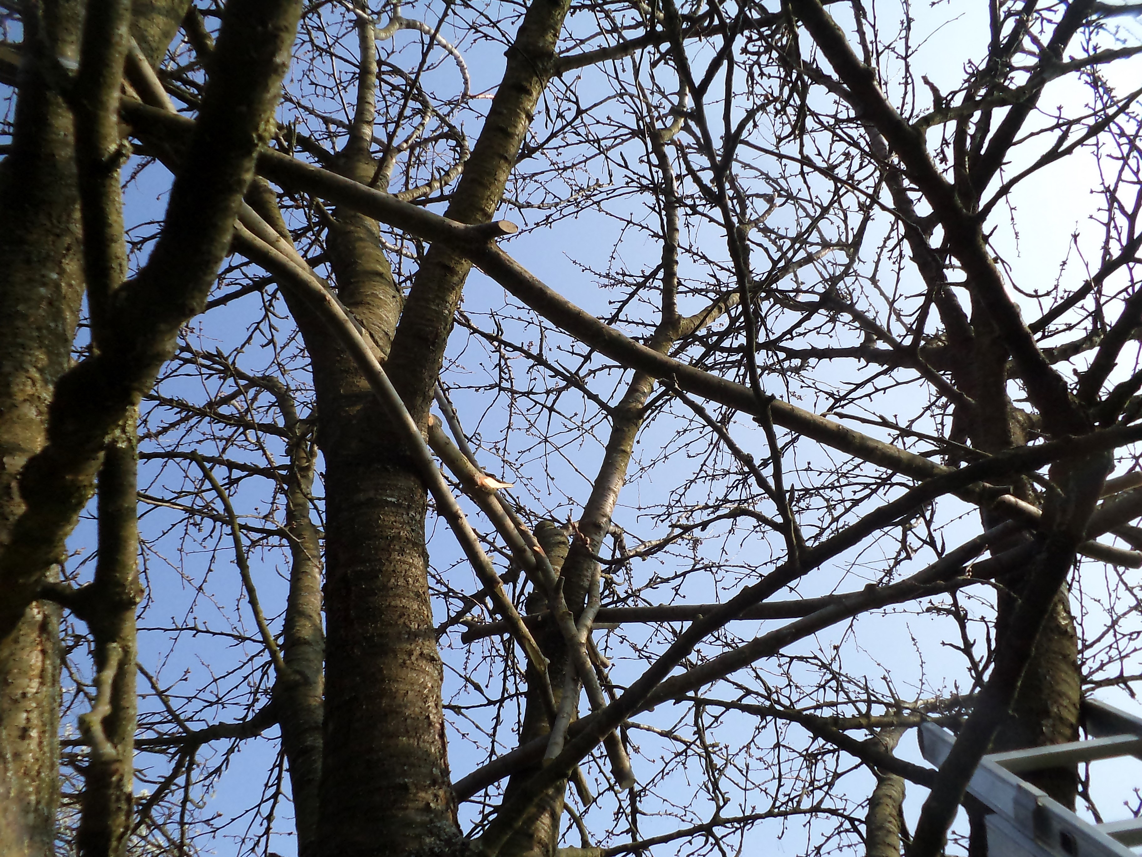 DSC03719.JPG