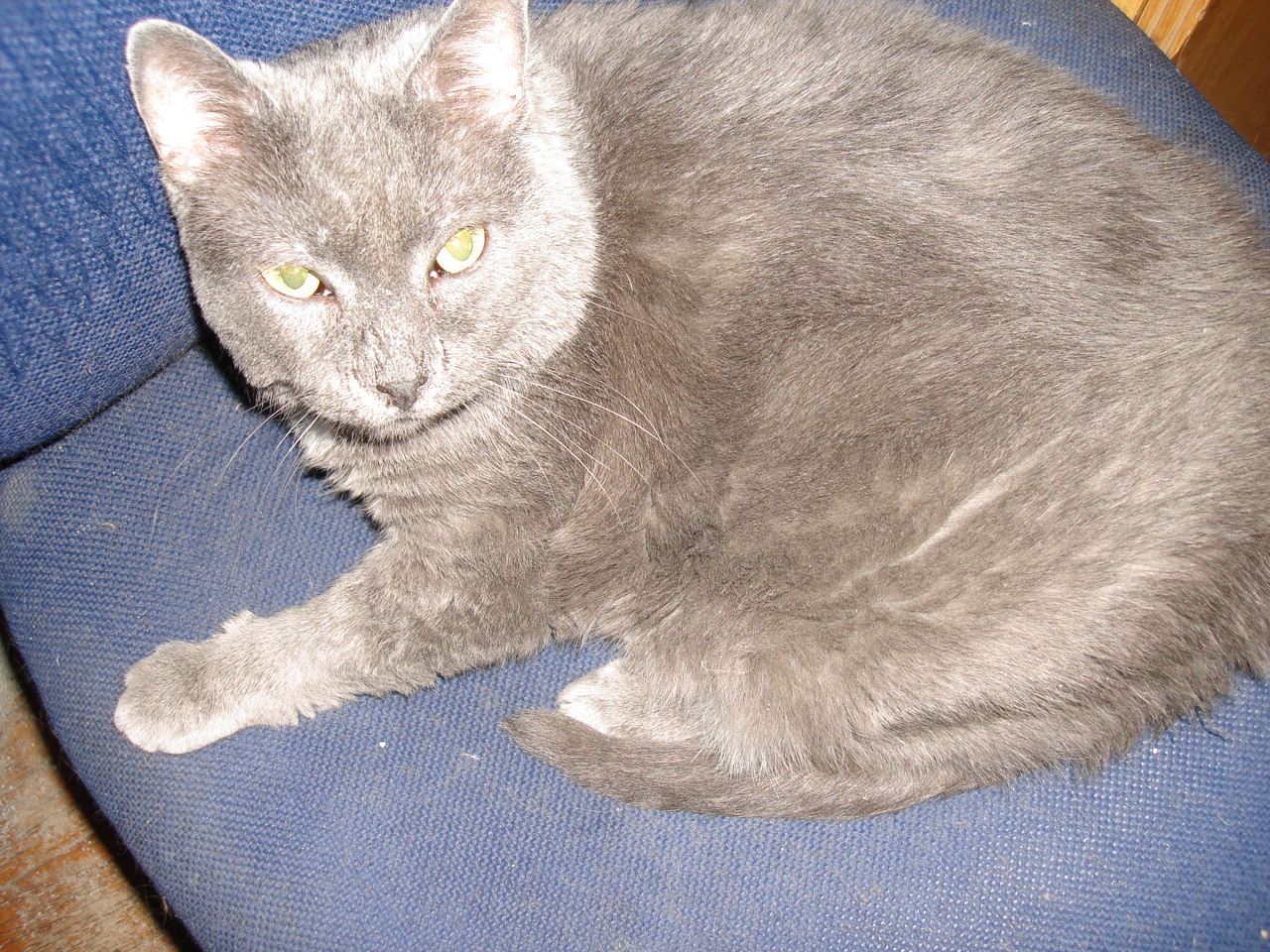 DSC04926.JPG