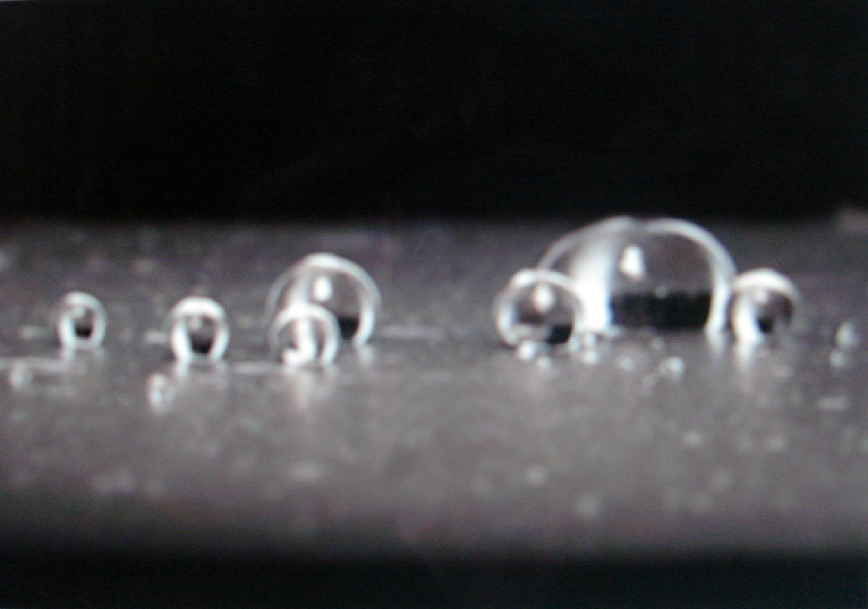 DSC05577.JPG