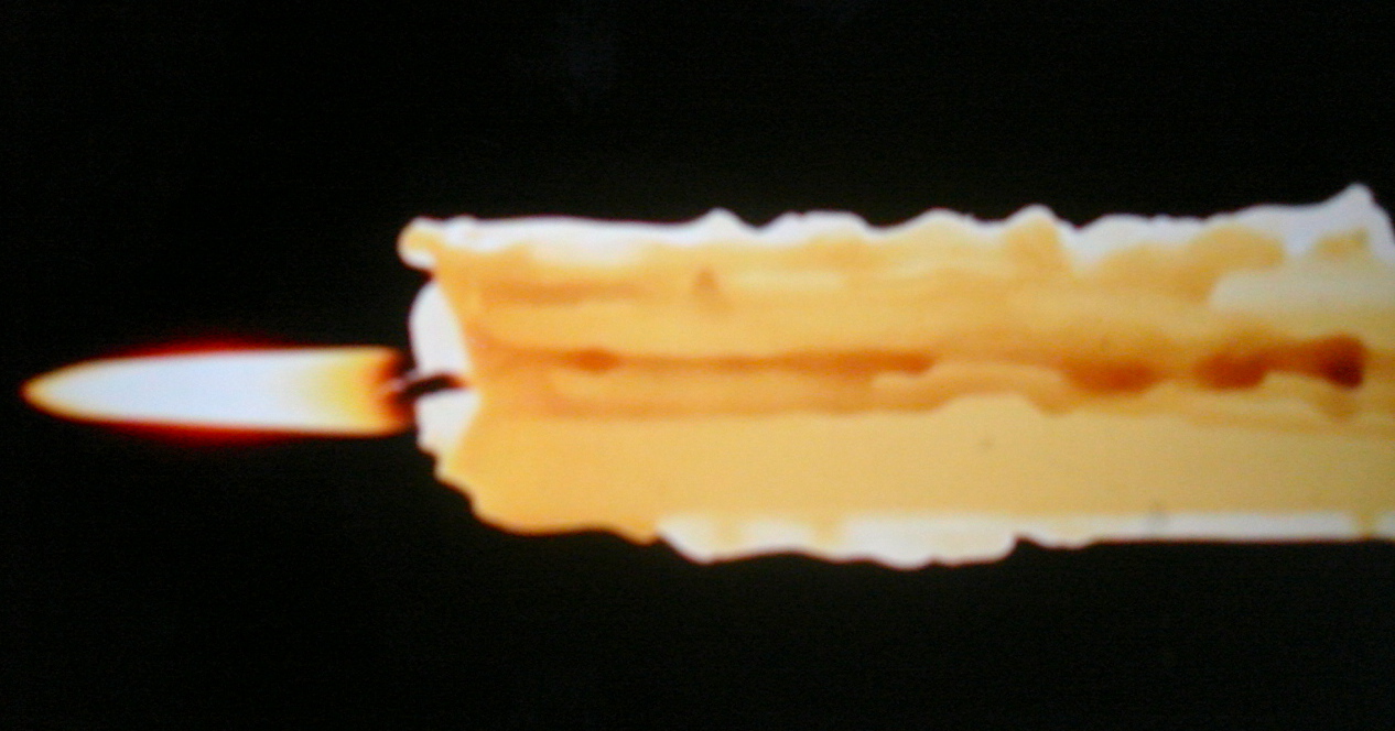 DSC05579.JPG