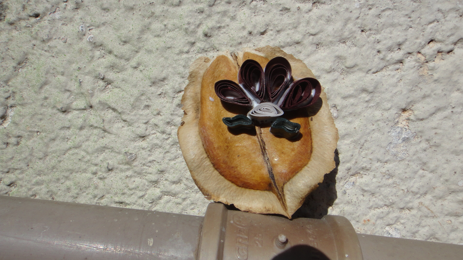 DSC08468.JPG