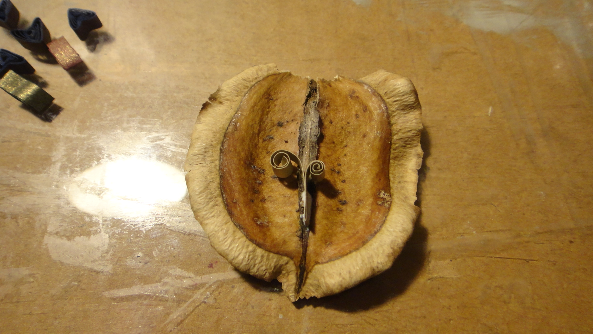 DSC08477.JPG