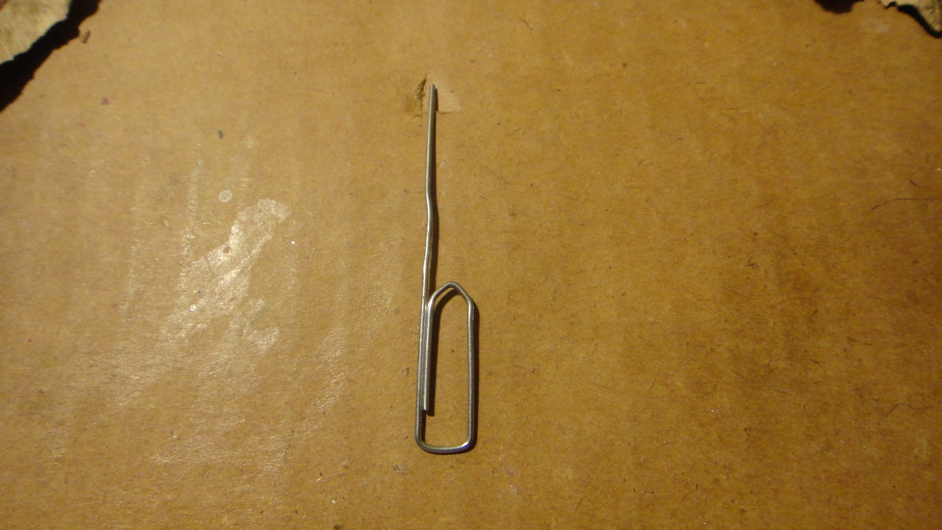 DSC08502.JPG