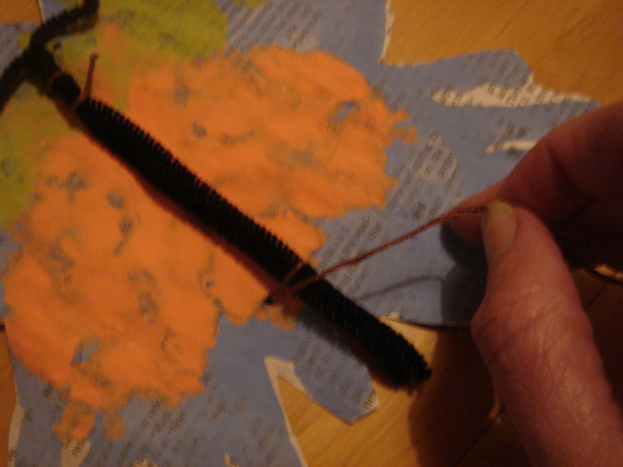 DSC09646.JPG