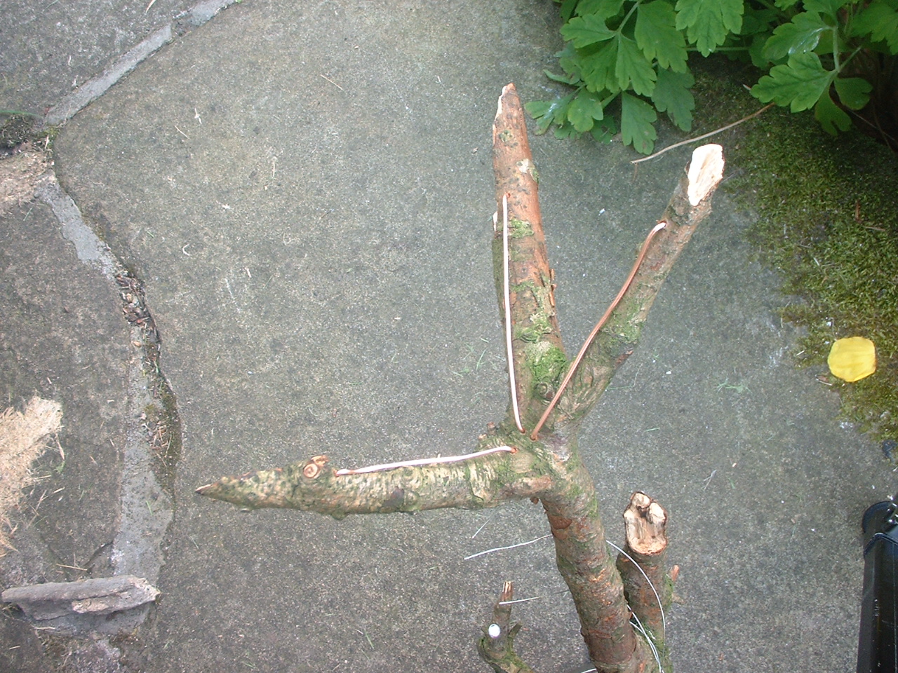 DSCF0063.JPG