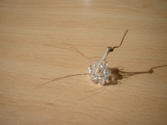 DSCF0170.JPG