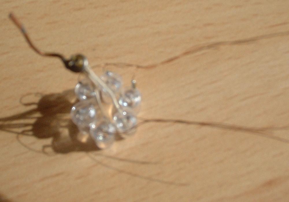 DSCF0171.JPG
