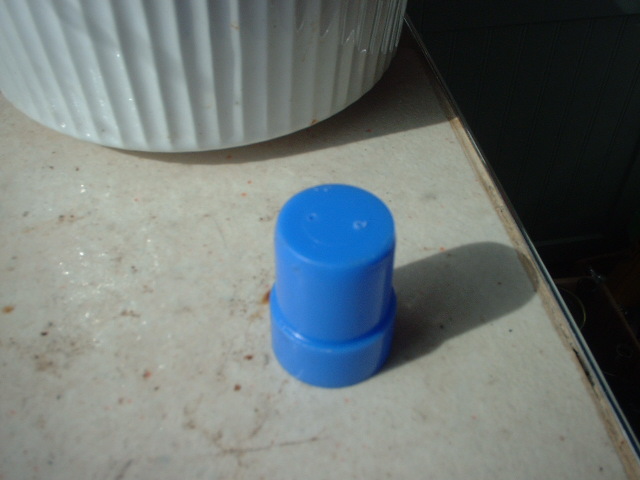 DSCF0173.JPG