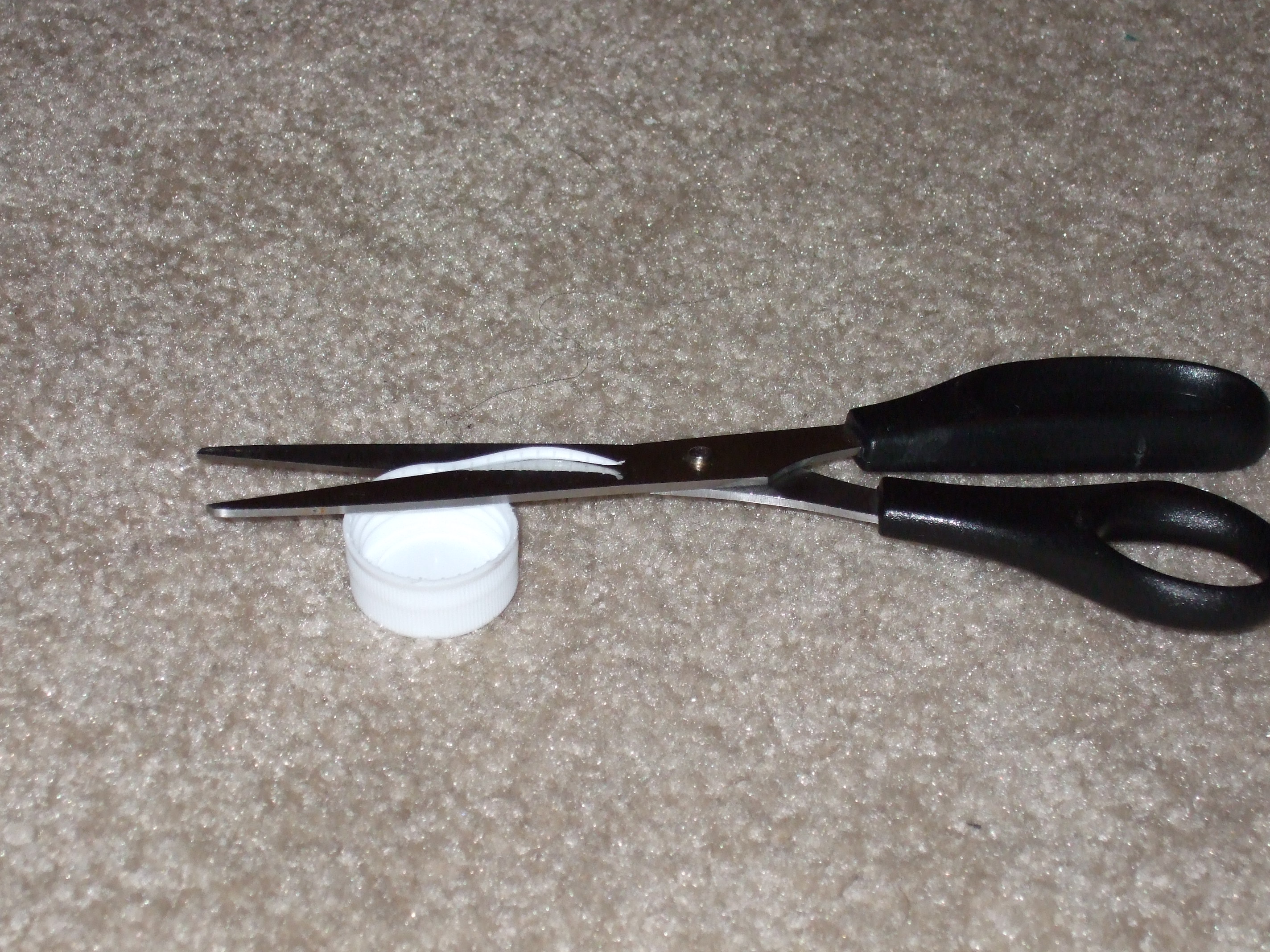DSCF0392.jpg
