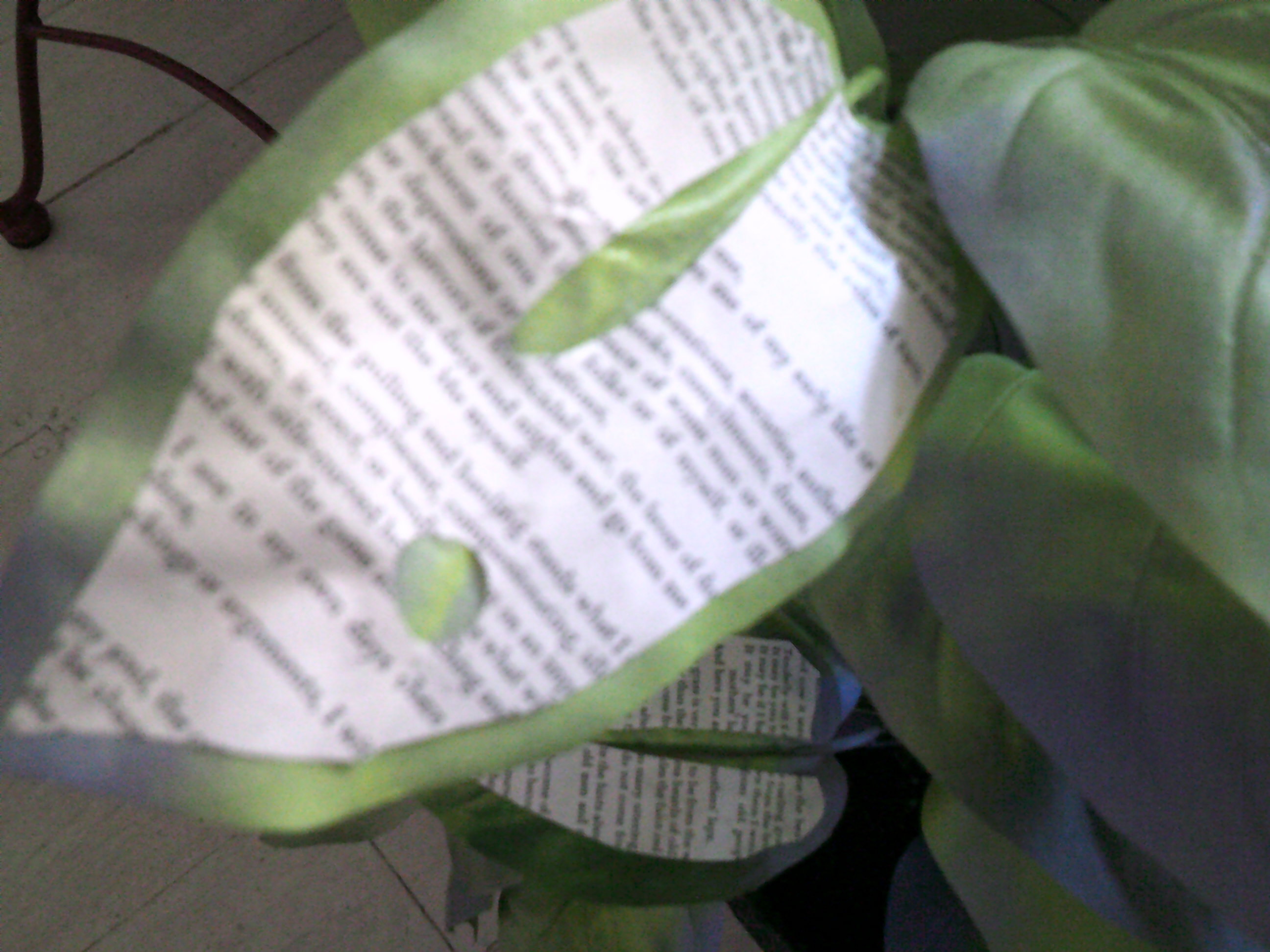 DSCF0590.JPG