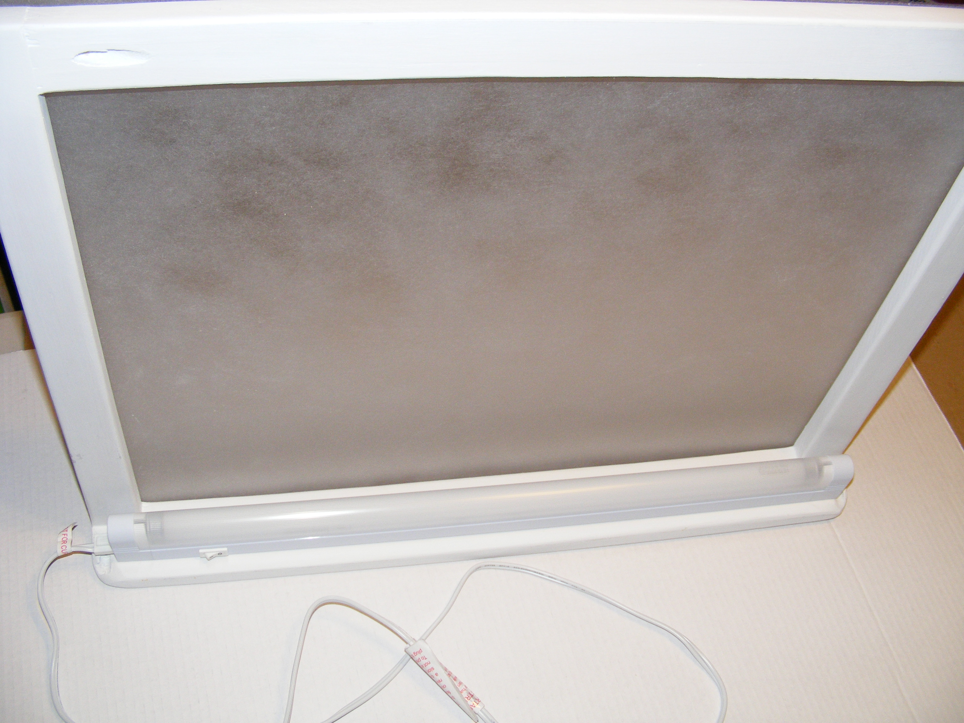 DSCF0801.JPG