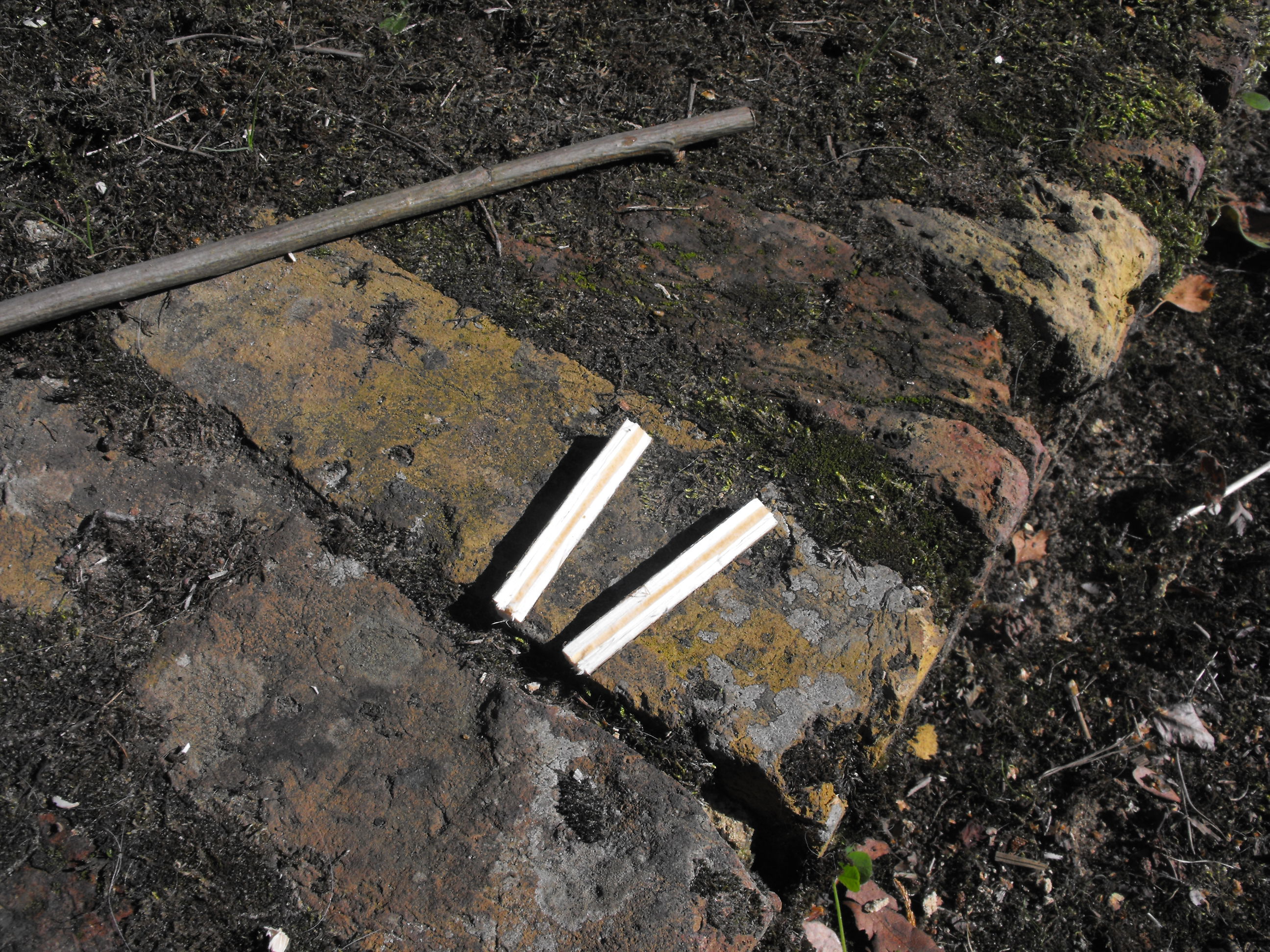 DSCF1280.JPG