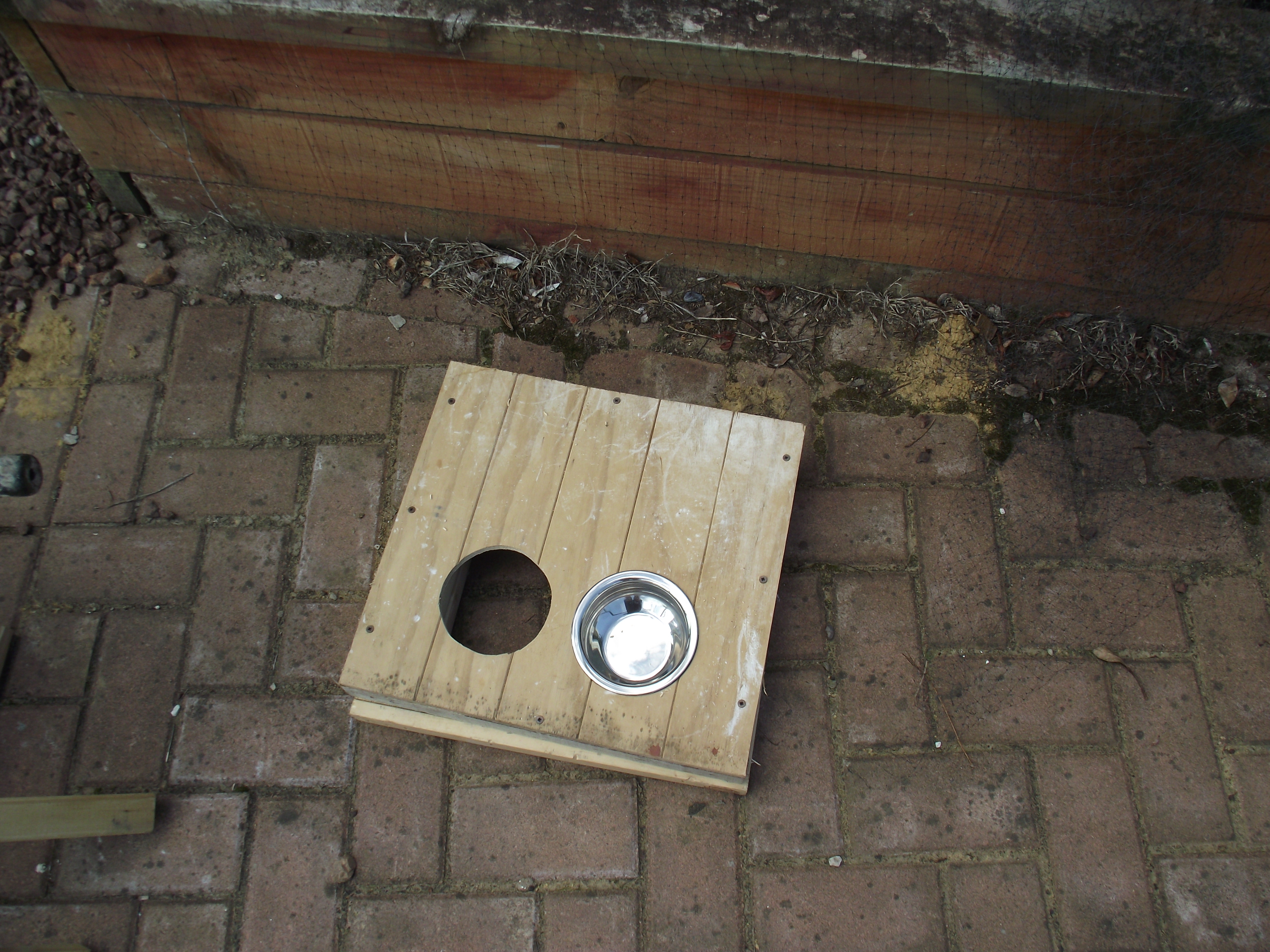 DSCF1533.JPG