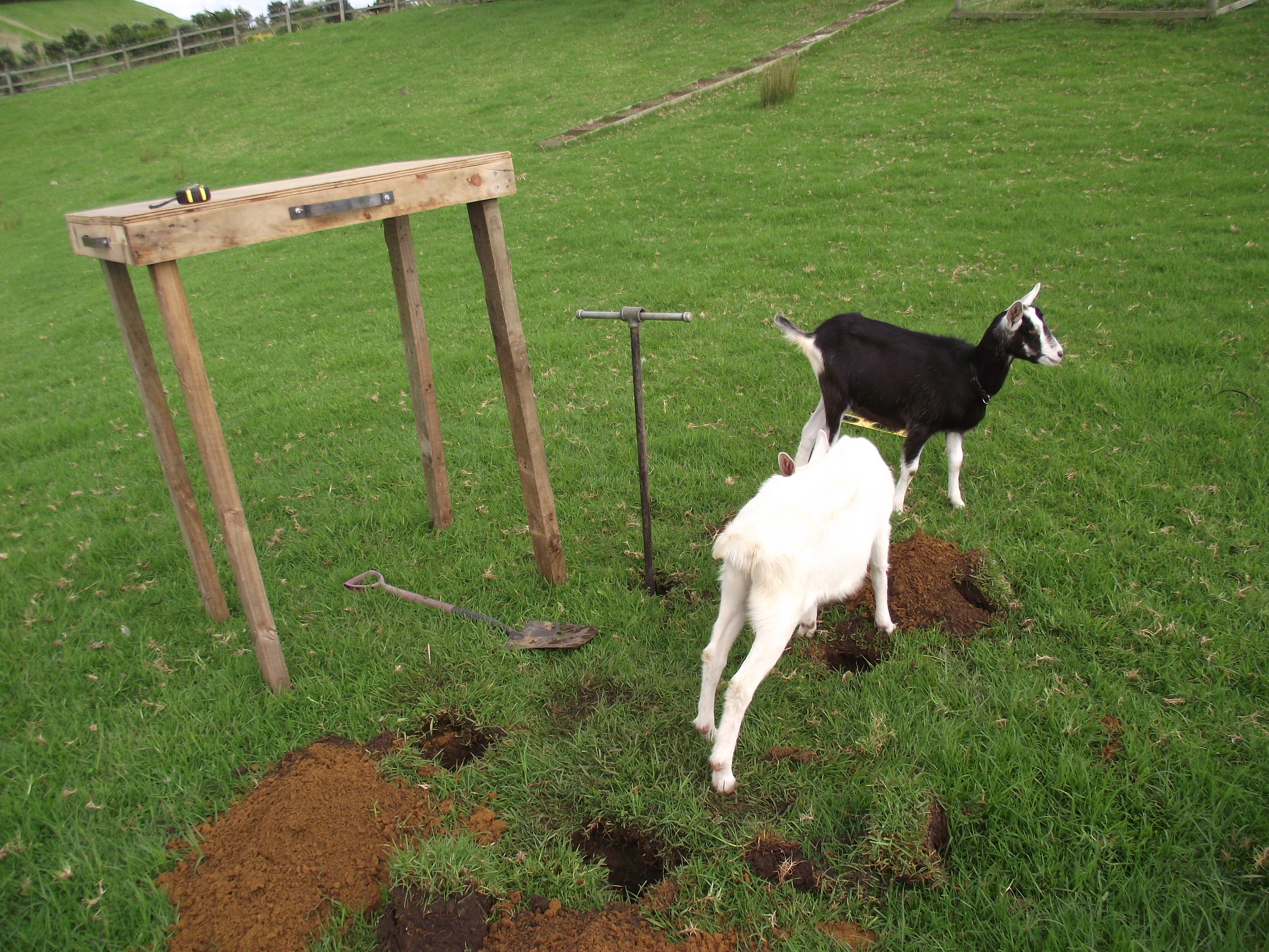 DSCF1568.JPG