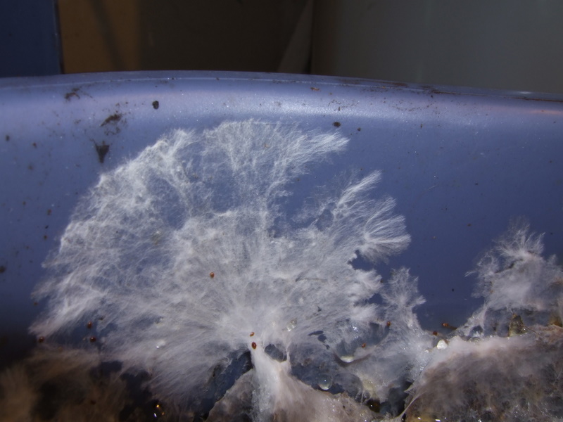 DSCF2917.JPG